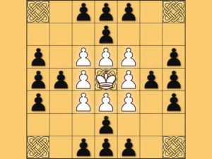 Read more about the article Tafl: viking chess