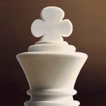 Read more about the article Elite Chess