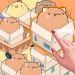 Read more about the article Mart Puzzle Box Cat