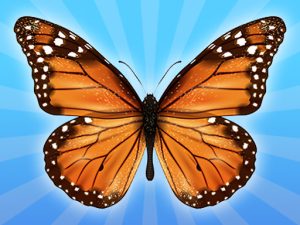 Read more about the article MergeButerfly: 2048!